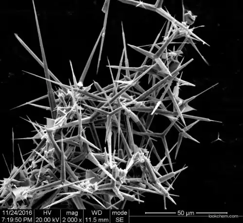 Tetra-Needle Like Nano Zinc Oxide( ZnO)Whisker