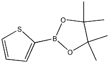 2-Thiopheneboronic acid pinacol esterCAS NO.: 193978-23-3
