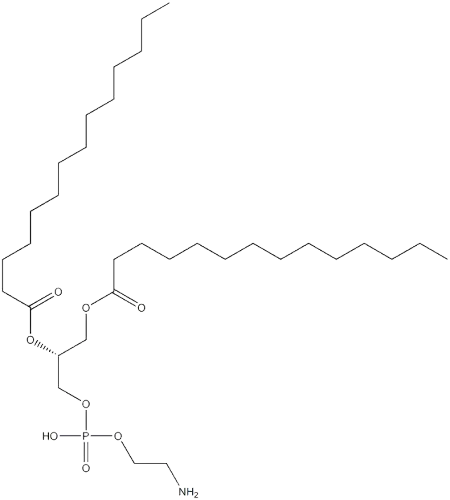 1,2-Dimyristoyl-sn-glycero-3-phosphoethanolamine(DMPE)