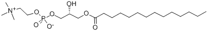 1-myristoyl-sn-glycero-3-phosphocholine