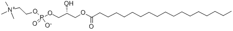 1-stearoyl-sn-glycero-3-phosphocholine