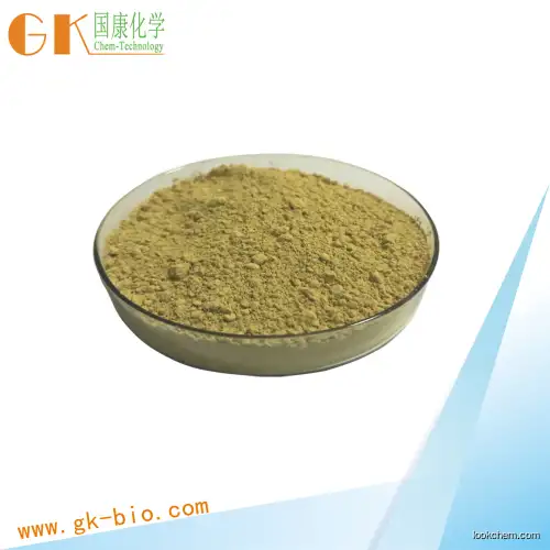 Ginkgo biloba extract WITH BEST PRICE