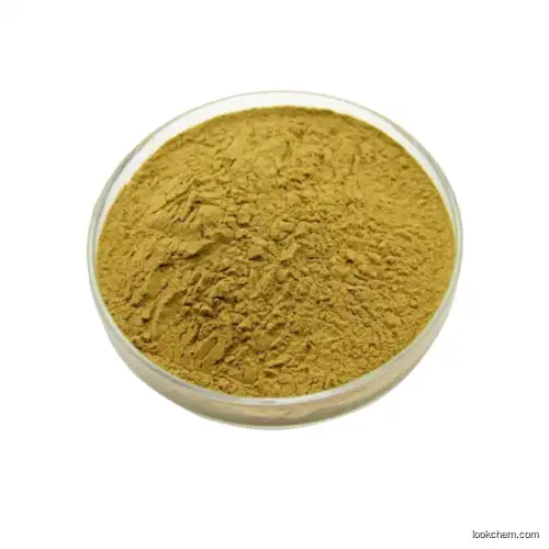 Ginkgo biloba extract WITH BEST PRICE