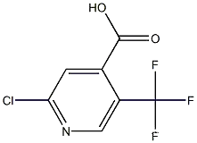 2-Chloro-5-(trifluoromethyl)isonicotinic acid 97%CAS NO.: 505084-58-2