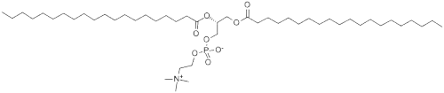 1,2-Diarachidoyl-sn-glycero-3-phosphatidylcholineCAS NO.: 61596-53-0