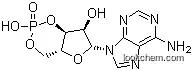 Best Quality Adenosine 3',5'-cyclic Monophosphate