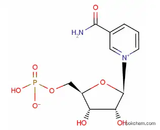 High Quality Beta-Nicotinamide Mononucleotide