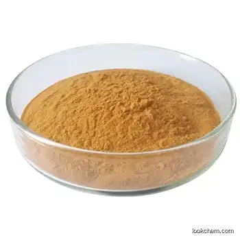 High quality Reishi extract / Ganoderma lucidum Polysaccharide/Ganoderma lucidum extract in bulk supply