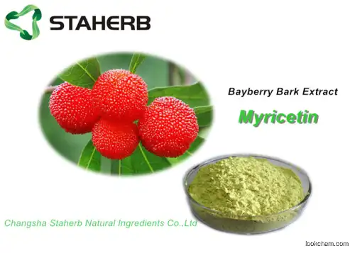 Pure Natural Plant Extracts Myricetin 98% For Health Product(529-44-2)