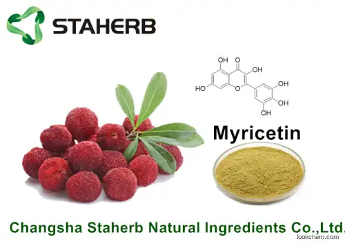 Pure Natural Plant Extracts Myricetin 98% For Health Product