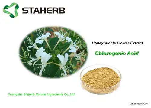 Pharma Grade Chlorogenic Acid Honeysuckle Flower Extract