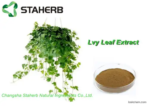 Ivy extract Antibacterial Plant Extracts Hederacoside c powder(84082-54-2)