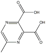 5-Methyl-2,3-pyrazinedicarboxylic acidCAS NO.: 5521-60-8