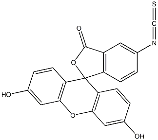 Fluorescein isothiocyanate isomer ICAS NO.: 3326-32-7