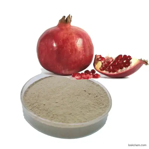 Pomegranate Peel Extract;Ellagic Acid 90%;Punicalagin A + B