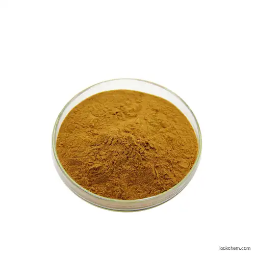 Pure natural Healthy Food High Quality Oyster extract
