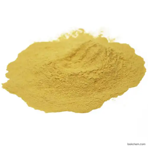 Food additives Tea Extract L-Theanine  Powder