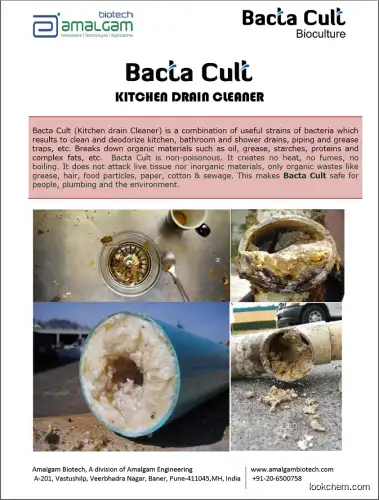Bacta Cult Kitchen Drain Cleaner