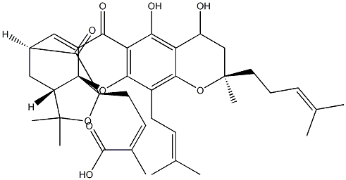 neo-gambogic acidCAS NO.: 93772-31-7