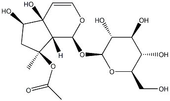 8-O-acetylharpagideCAS NO.: 6926-14-3