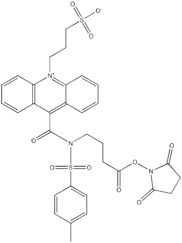 3-[9-(((3-(N-succiniMidyloxycarboxypropyl)[4-Methxylphenyl]sulfonyl)aMine)carboxyl]-10-acridiniuMyl)-1-propanesulfonate inner salt (NSP-SA-NHS)   199293-83-9