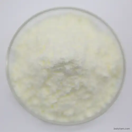 High Quality Bread Improver Powder for French Pastries
