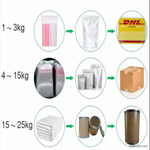 Ginkgo Biloba Extract Ginkgo Flavone Pharmaceutical