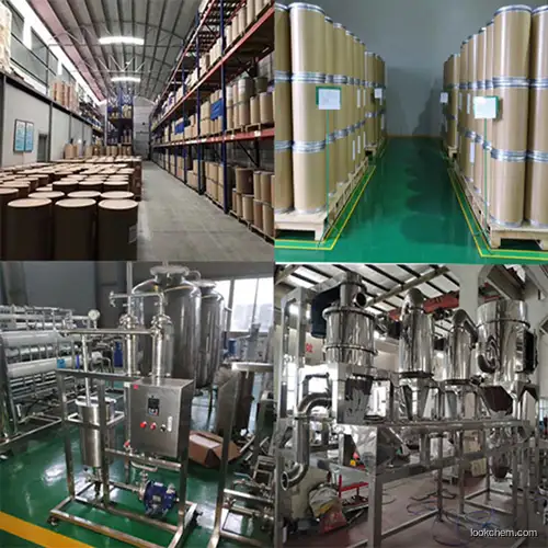 Huperzine Serrate Extract Natural Extract