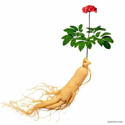 100% natural Ginseng Extract ginsenoside 80% High Quality