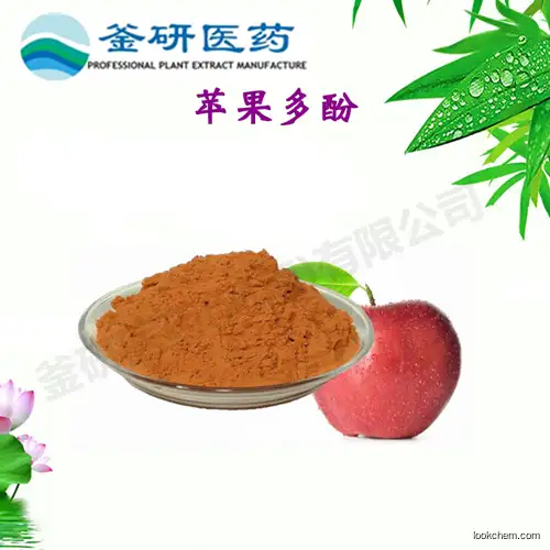 100% Natural Apple Extract Apple Polyphenol  High Quality
