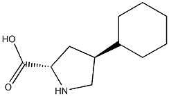 trans-4-Cyclohexyl-L-proline/ LIDE PHARMA- Factory supply / Best price