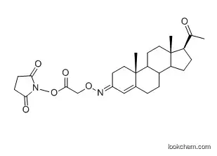 Progesterone-3-CMO-NHS Ester