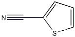 2-Thiophenecarbonitrile CAS NO.: 1003-31-2