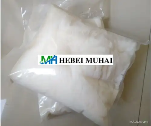 high purity Methylamine hydrochloride supplier