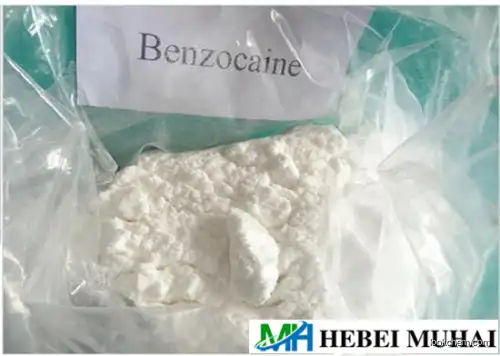 Top grade Benzocaine supplier