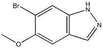 6-Bromo-5-methoxy-1H-indazole CAS NO.: 1206800-17-0