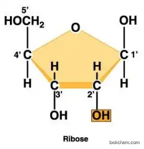 D-Ribose