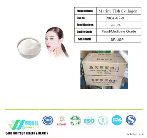 100% Pure Fish Collagen Peptide Powder Food Grade for Fish Collagen Halal Free Samples