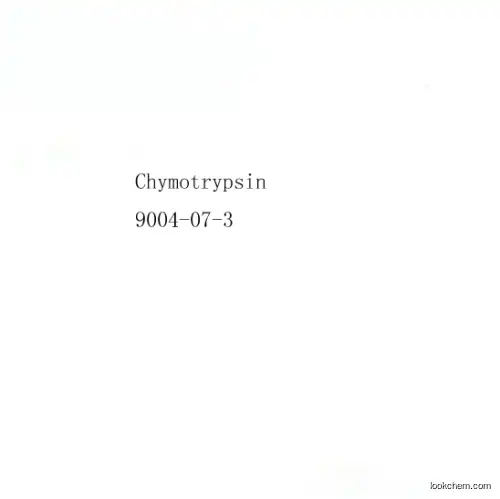 Chymotrypsin   manufacturer with low price