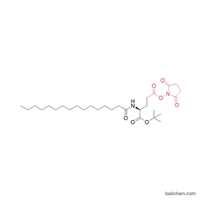 Nα-Palmitoyl-(L)-glutamic acid-γ-succinimidyl-α-tert-butyl ester()
