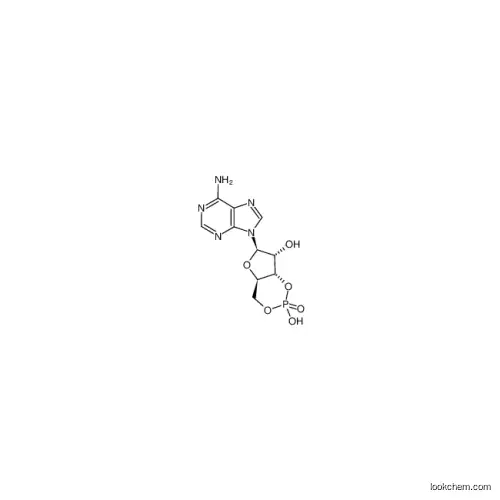 Adenosine 3',5'-cyclic monophosphate    manufacturer with low price
