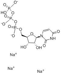 uridine-5′-triphosphoric acid trisodium salt