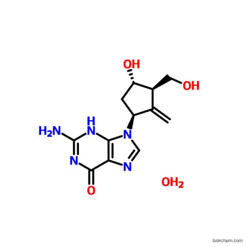 Entecavir Monohydrate CAS No.209216-23-9