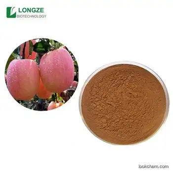 Apple extract  apple polyphenol (60%-80%)