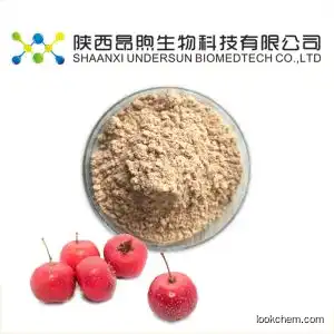 Hawthorn Extract flavone 80% Pure Natural Fruit Extract Powder