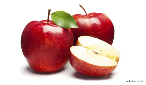 100% Natural Apple Polyphenol health Nutrition High Quality