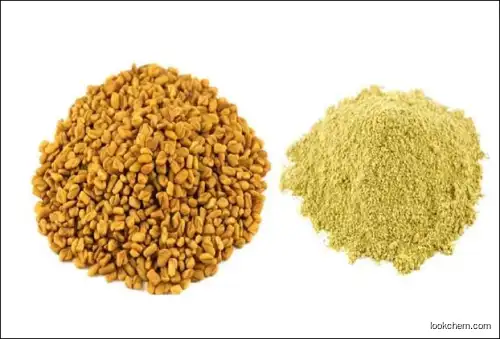100% Natural Fenugreek saponins Extract  High Quality