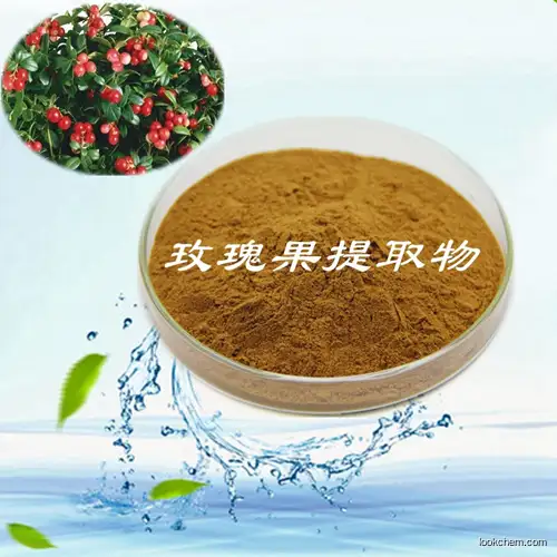 100% Natural Rose L.Extract Polyphenol(60%) Fruit Extract Nutrition High Quality