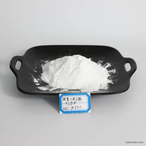 2,2'-Azobis(2-methylpropionitrile) AIBN supplier