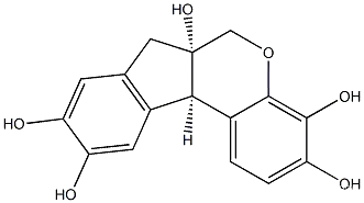 H ematoxylin